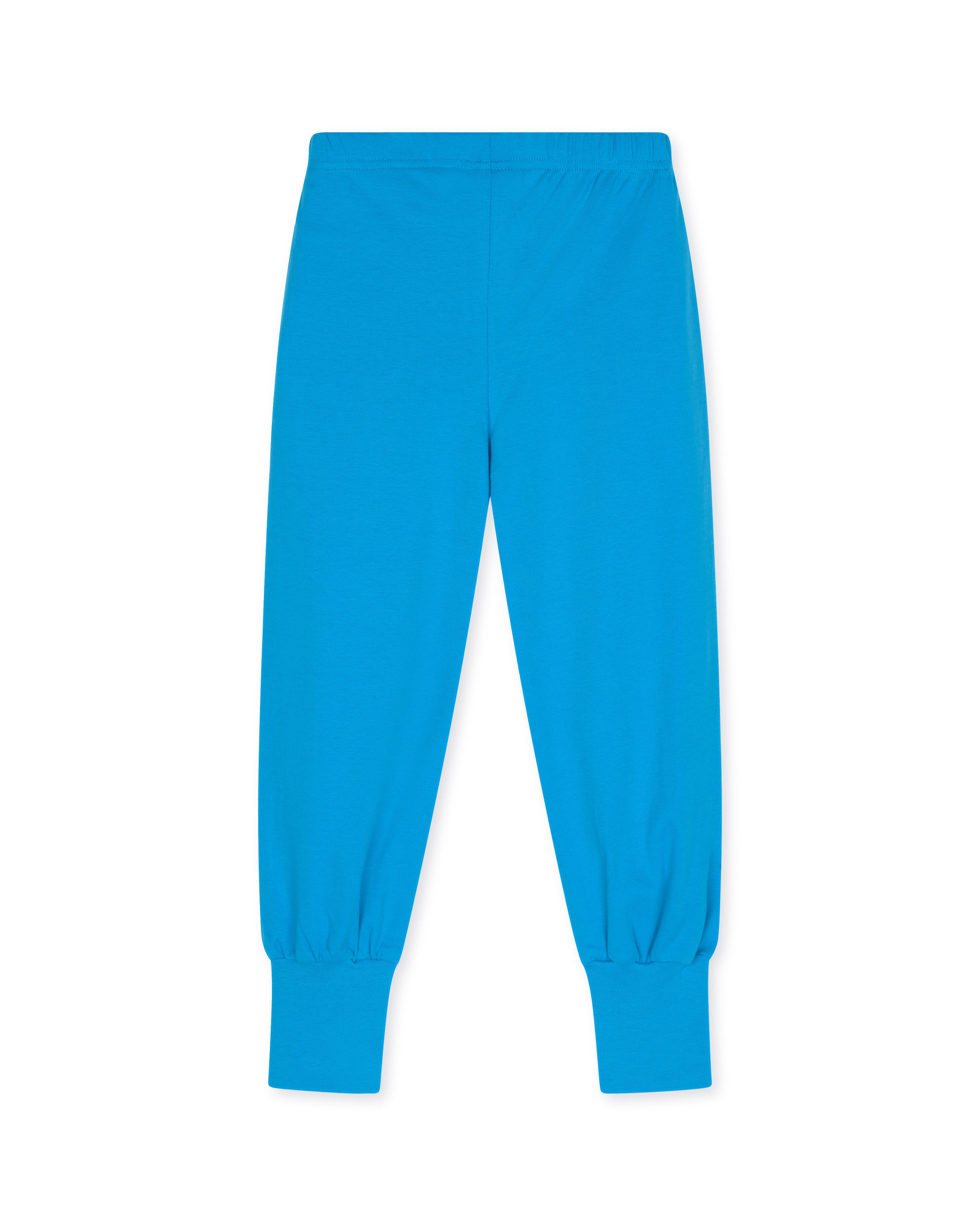 Hayden Pants - Blue - Ameelo