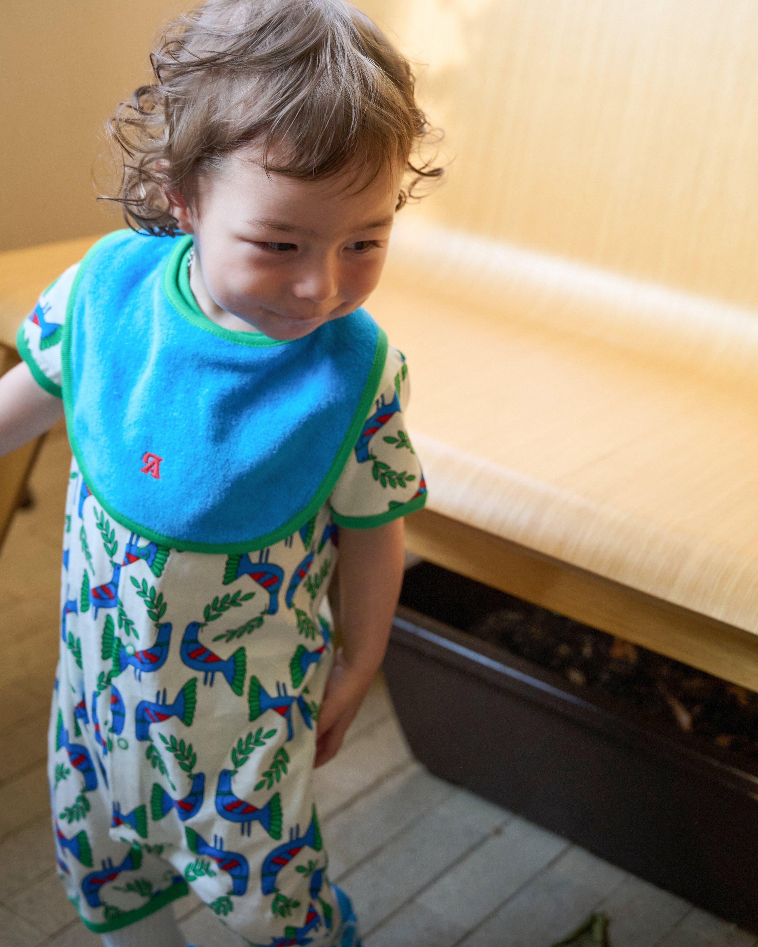 Joey Reversable Bib - Blue & Green