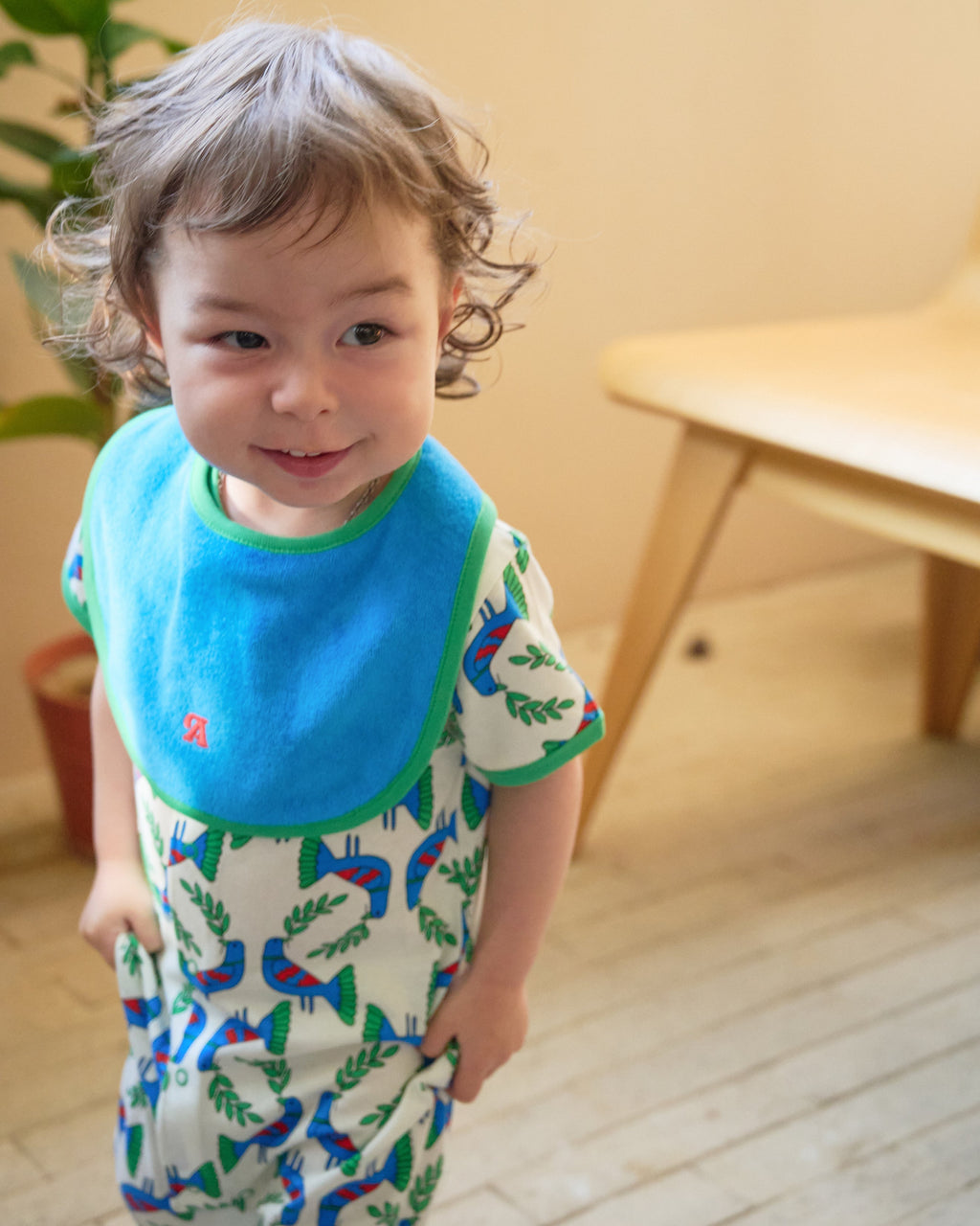 organic cotton - Joey Reversable Bib - Blue & Green - Bib - Ameelo - baby kids clothing